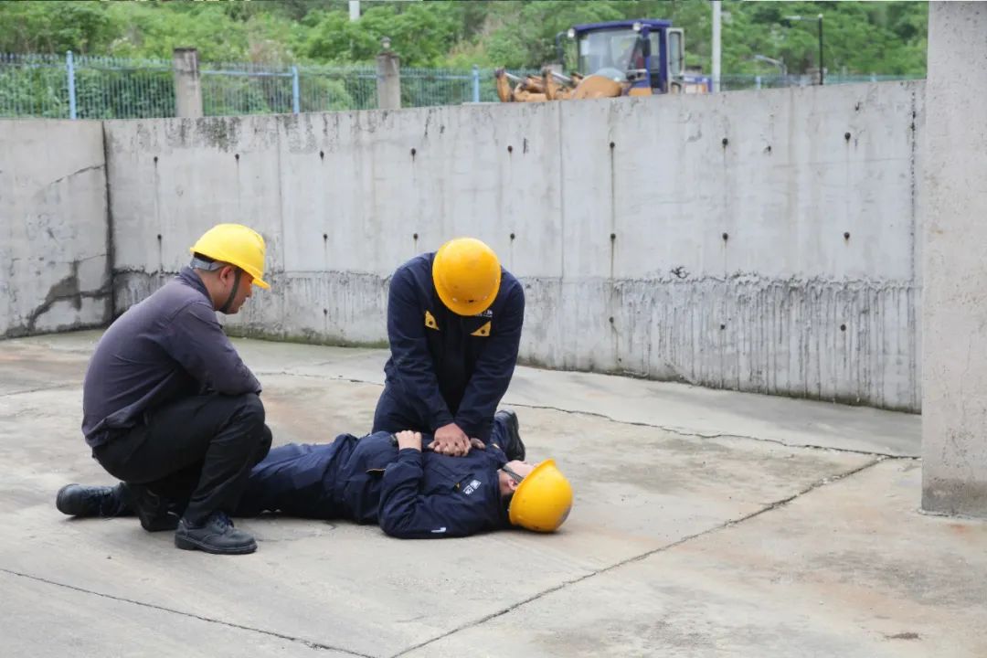 小米6-0419.055.gif 图片