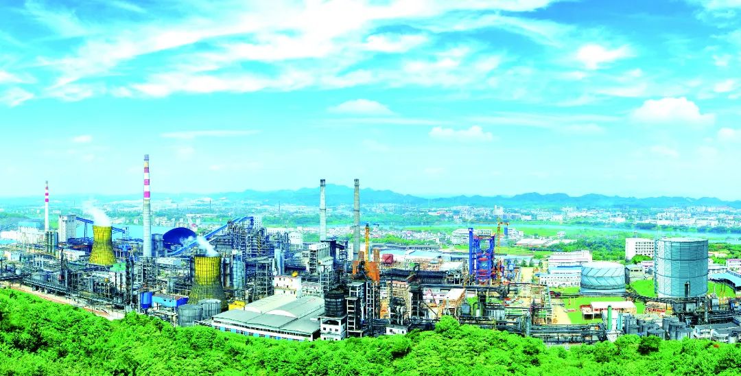 undefined 黑猫股份全景.jpg